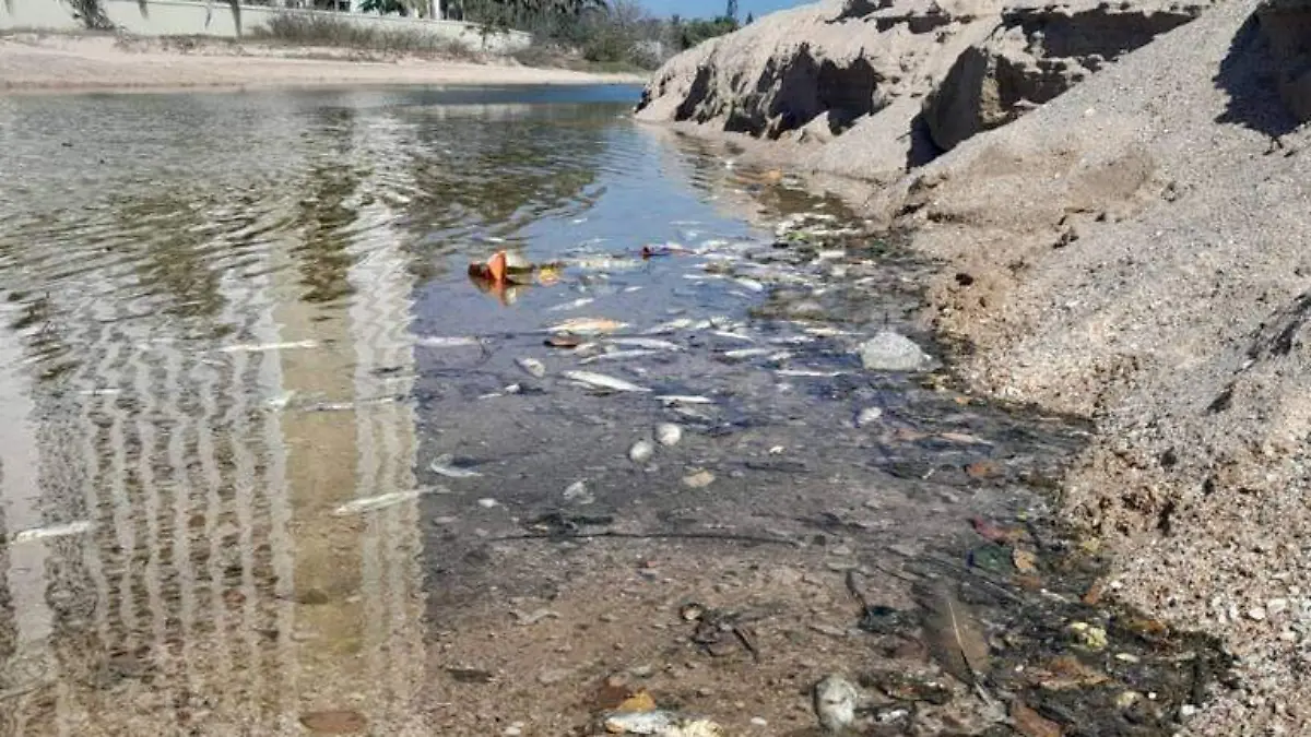 contaminacion de agua mazatlan